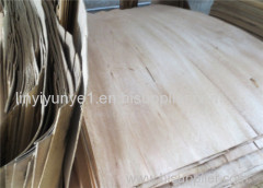 natural wood veneer for plywood 0.3mm face veneer