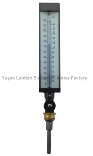Meat thermometer bbq usage