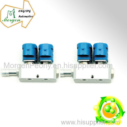 CNG LPG Automobile 4 cylinder injector rail for CNG/LPG system