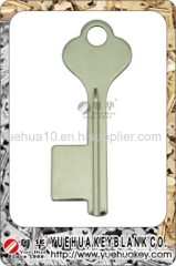 New Style Special key blank