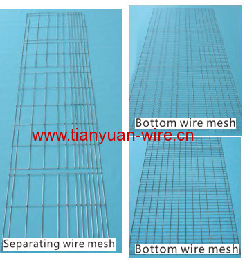 Hot dip galvanized before or after welding Chicken Cage wire Mesh