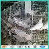 Full Equipment Layer Quail Cage/chicken cage /pigeon cage