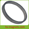 low weight loss neodymium arc magnets