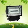 Billboard IP65 200 Watt Induction Flood light For Building Landscape