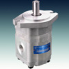 CMG2 Hydraulic Gear Motor