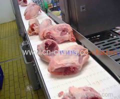 B50 flat top meat industry plastic conveyor belt