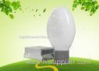 Roads Discharge Olive Electrodeless Magnetic induction Lamp Energy Saving