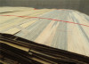 0.3mm poplar face veneer from china