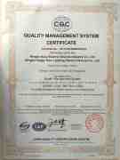 management system ISO9001:2008