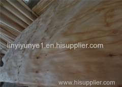 High quality face gradel poplar veneer