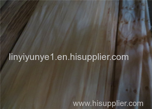 Poplar veneer with best price and high quality