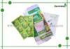 New Version Fruta Bio Botanical Slimming Pills With Holographic Box Package For Body Slim