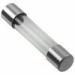 Slow Blow Glass Fuse radial lead fuse