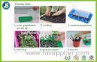 Black Plastic Seeding Tray Or Propagation Tray PS / PE For Greenhouse