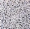Solid Surface Granite Natural Stone