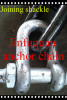 Swivel Joining Shackle Anchor Chain Accessories from China