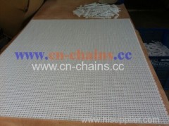 Flush Grid 25-400 straight running plastic conveyor belt supplier