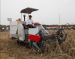 corn harvester china wolwa type