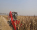 wolwa hrevester wheat and corn harvester