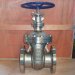 Special Material Trunnion Mounted Ball Valve