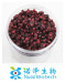 Natural fructus schisandrae chinensis,schisandra chinensis extracts