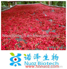 2014 Fresh Organic Schisandra Fruit