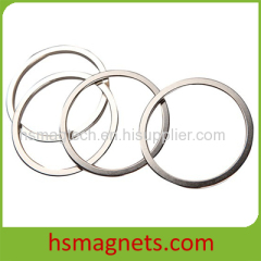 Customized Ring Sintered AlNiCo Magnet