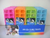 Ice cube trays 2PK plastic in display box packing