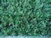 Garden Artificial Grass With Gauge 3/8''