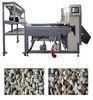 peanut sorting machine CCD Color Sorter Machine