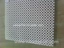 Punched Round Perforated Metal Sheet / custom made Medicine filter screen