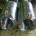 ss welding rod stainless steel wire rod