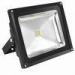 3850Lm Energy Efficient 50W Bridgrlux Waterproof LED Flood Light With RoHS