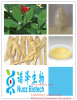 Ginseng root extract /ginseng price 2014