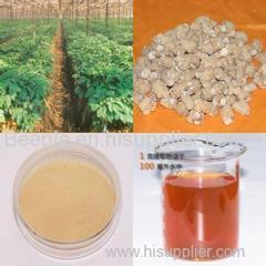 Factory hot sell ginseng root extract powder/ginseng price 2014