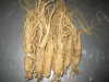 2014 hot sell Ginseng root extract powder/ginseng price