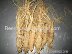 Manufacturer supply high quality ginseng root extract powder/ Ginseng price 2014