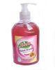 Fruity Nourish & Smooth Hand Wash / Hand Sanitizer Liquid Dishwashing Detergent