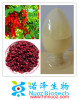 Schisandra Berry Fruit Extract Schisandrol A