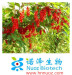 Schisandra Berry Fruit Extract Schisandrol A