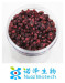 Schisandra chinensis extract powder with schisandrin A