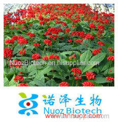 High Quality Panax Ginseng Root Extract fine powder