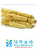 brown yellow powder Panax Ginseng Extract