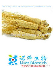 High Quality Panax Ginseng Root Extract fine powder