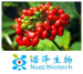 pure white Ginseng Root Extract
