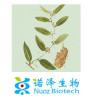 Factory Supply organic ginseng powder ginseng extract ginsenoside