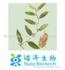 Manufacturer sales ginseng extract ginsenosides