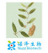 Manufacturer sales ginseng extract ginsenosides