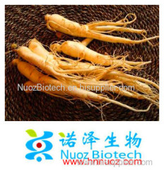 Factory Supply organic ginseng powder ginseng extract ginsenoside