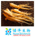 Factory Supply organic ginseng powder ginseng extract ginsenoside